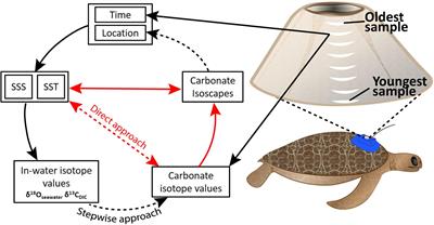 Unique Post-telemetry Recapture Enables Development of Multi-Element Isoscapes From Barnacle Shell for Retracing Host Movement